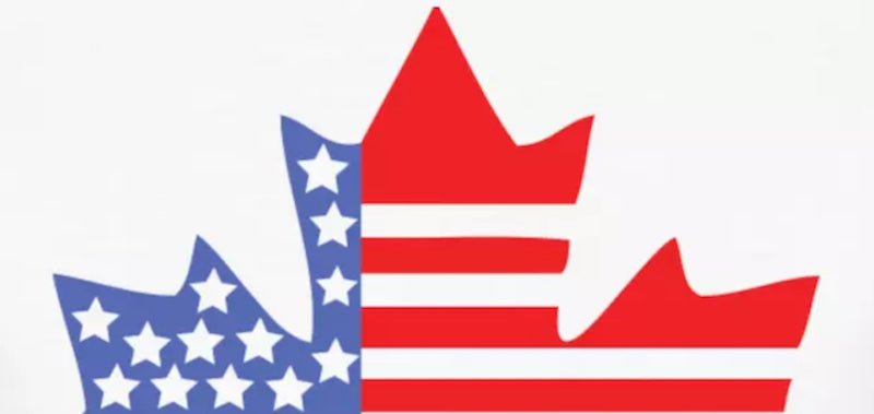 12 Benefits of Buying Online from Canada to USA